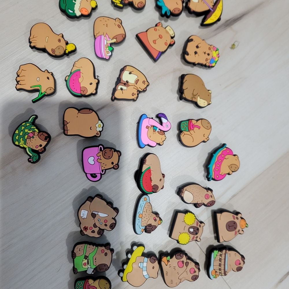Cute Capybara Enamel Pins Set
